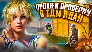 Passed the TDM Clan Verification! Pubg Mobile