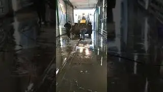 Забирай своё говно с собой