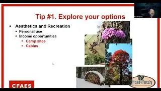 Woodland Management Tips that Pay- Portage Co