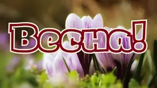 Весеннего настроения! С началом весны!