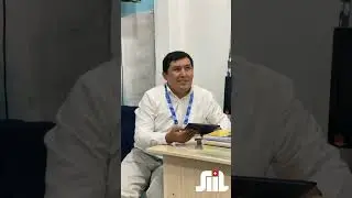 Отзыв выпускника SIIL