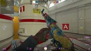 Me when I go Insane in CS2