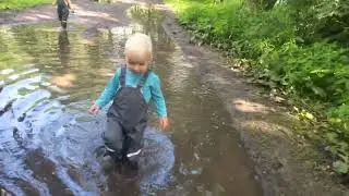КирДан 2