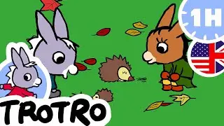 🦔 Trotro plays with cute animals! 🐠