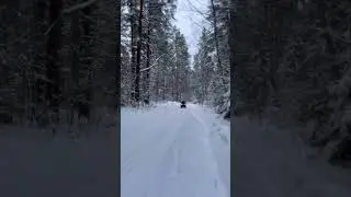 Солнышко давай 