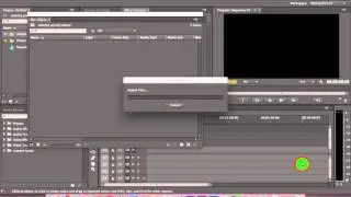 Adobe Premiere Pro Training - Adding Bins