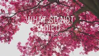 What So Not - Adieu (2 Hours Loop)