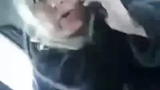 Вы от меня требовали деньги и СЕКС #яндекстакси