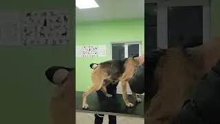 первичный осмотр