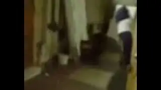Пародия на Half-Life