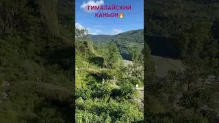 А ВЫ БЫ ПОШЛИ В КАНЬОН? 