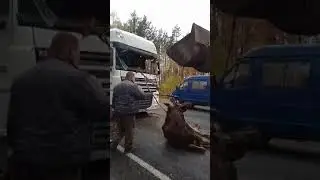 -EXTREME FOOTAGE- Truck accident with ELK