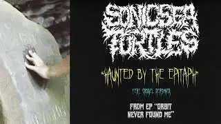 SONIC SEA TURTLES - HAUNTED BY THE EPITAPH (FEAT. GABRIEL REASONER) [OFFICIAL VISUALIZER]