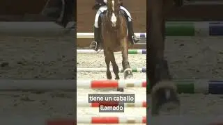El SALTO MÁS GRANDE de un CABALLO #shorts #short #horse