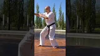 Киокушинкай. Авторская песня. Сделай выбор - занимайся Киокушинкай!