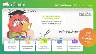 Verdauungsenzyme Wirkungsweise – Abbau von Stärke & Fetten