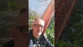 Доброе утро#shorts