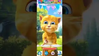SHORTS TALKING GINGER #268