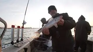Detroit River Spring Walleye Jigging - End of April 2023