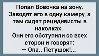 Вовочка Попал на Зону! Сборник Свежих Анекдотов! Юмор!