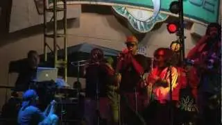 TRIBAL SEEDS 2012