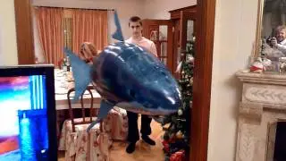 Летающая акула