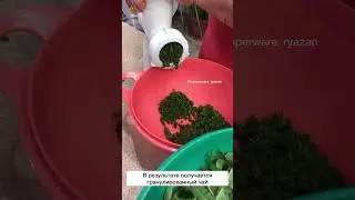 Иван-чай (ферментация листьев кипрея) в мясорубке «Fusion Master» Tupperware
