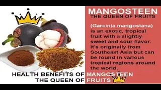 Mangosteen Benefits