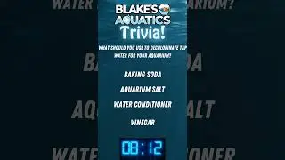 Blake's Aquatics Trivia 5 