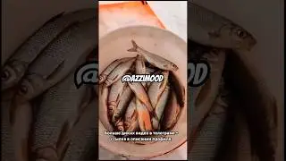 Жор сороги на реке Вилюй в селе Сунтар🔥 