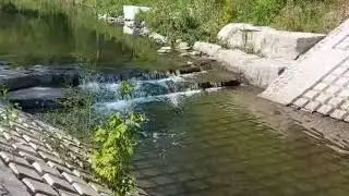The River ( relaxing water sounds ) ASMR
