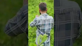 টেকনোলজি লাইফে একটু আনন্দময় সময় কাটানো #video #smartphone #emmcrepairinginstitute #emmcrepair