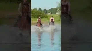 HOT Summer: girls and horses in da water. #short #shorts