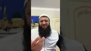 11 августа 2024 г.