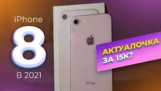 iPhone 8 в конце 2021 года! Актуальная бюджетка? Подробный обзор