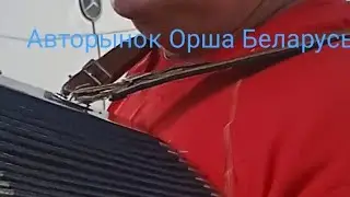 Наши артисты в прямом эфире Орша авторынок Беларусь!