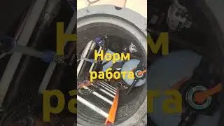 7 августа 2024 г.