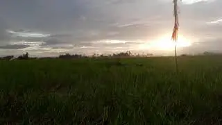 Harvest Time in the Farm(2)