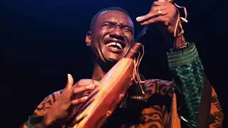 Bassekou Kouyate & Ngoni Ba - Album tour 2019 'Miri'