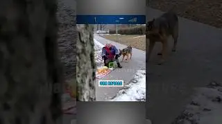 Порвала ей платье😢