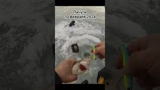 Ветер, слякоть и Единственный наносудак выезда на ОВХ Пичуги 10.02.24  