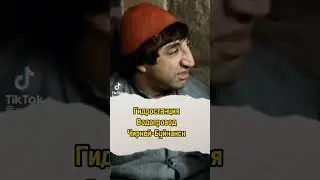 Хозяева большой воды, сегодня остались без воды...