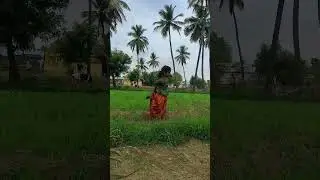 Kurchini Madathapetti