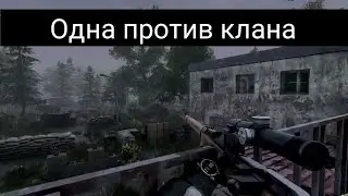 Чужой среди своих \ ПВП арена \ Will To Live Online \ 05.09.2021