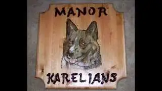 Wood Signs by Vivid Crystal