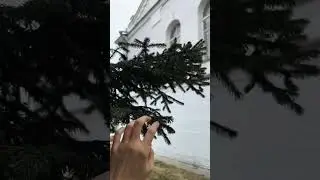 Томск 🤍 кто тут из Сибири? 