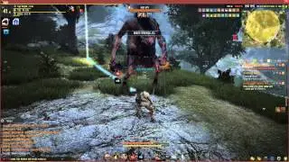 Black Desert Online OBT Korean : BOSS 41 lvl