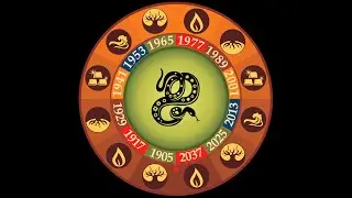 HORÓSCOPO CHINO 2024:  SIGNO DE LA SERPIENTE