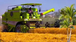 Combine Harvester Amazing Work | Wheat 🌾 Harvesting | Kartar 4000