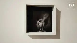 Выставка 